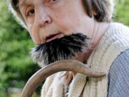 Die Bürger von Frankenberg (2009)
